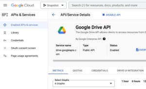Abbildung 3: Freischalten der Google Drive API vor der Nutzung.