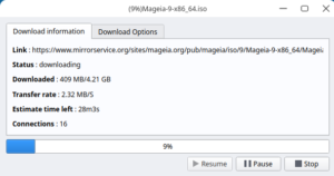 Abbildung 13: Auch im Persepolis Download Manager können Sie jeden Auftrag detailliert nachvollziehen.