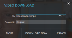 Abbildung 18: Für Videodateien hält der Xtreme Download Manager eigene Konfigurationsdialoge bereit.