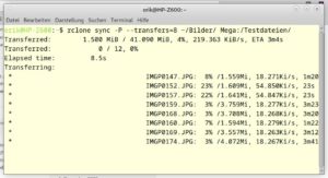 Abbildung 5: Rclone synchronisiert auch große Datenbestände durch parallelen Transfer mehrerer Dateien.