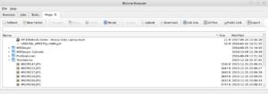 Abbildung 7: Der Rclone-Browser vereinfacht den Umgang mit der Software.
