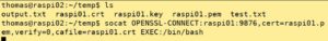Abbildung 4: Der OpenSSL-Verbindungsaufbau erfolgt von Node&nbsp;B aus.