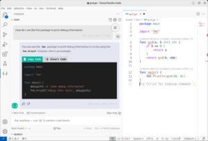 Abbildung 8: Codeium liefert hier Wissen &uuml;ber das in Go enthaltene Package Fmt.