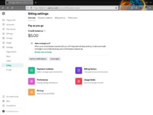 Abbildung 1: Die Nutzung der OpenAI-Infrastruktur für ShellGPT müssen Sie bezahlen.