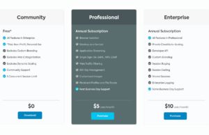 Abbildung 8: Das Bezahlmodell von Kasm erlaubt die kostenfreie Nutzung der Anwendung, wenn Sie keinen Support benötigen. Darüber hinaus gibt es gestaffelte Preise für unterschiedliche Support-Angebote.
