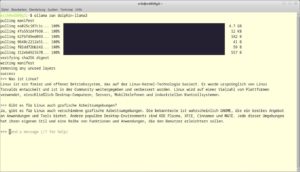 Abbildung 11: Ollama nutzen Sie von Haus aus am Prompt.