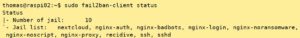 Abbildung 1: Mittels des Tools Fail2ban-client lassen sich die aktiven Jails ausgeben.