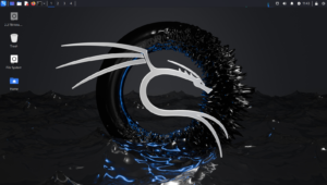 Kali Linux 2024.4