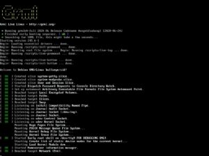 Abbildung 2: Grml ist ein echtes Rescue Linux, das zwar eine grafische Oberfläche bietet, den Benutzer aber nicht zwingt, diese auch zu verwenden. Der Kommandozeilen-Modus ist ebenso gut nutzbar. Quelle: Grml / Michael Prokop
