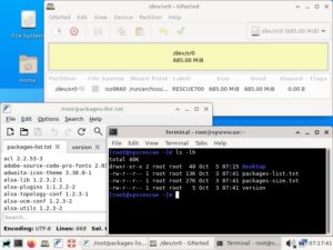 Abbildung 3: SystemRescue war früher vorrangig für den Einsatz auf CDs konzipiert und kommt mit grafischer Oberfläche in Form von Xfce daher. Die Distribution bietet allerlei praktische Rettungswerkzeuge wie »ddrescue«. Quelle: SystemRescue