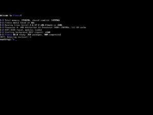 Abbildung 4: Anders als Grml und SystemRescue geht Finnix das Thema puristisch an: Nicht nur wird ein GUI ab Werk nicht gestartet, sondern es liegt dem System auch keins bei. Der Mühe Lohn sind schlanke 480 Megabyte für das gesamte Abbild des Betriebssystems. Quelle: Finnix / Ryan Finnie