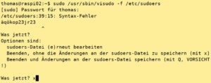 Abbildung 1: Visudo prüft und beanstandet Fehler.