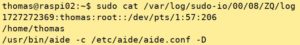 Abbildung 4: Das Sudo-Input-Log protokolliert Eingaben.