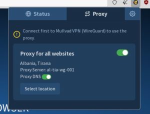 Abbildung 7: Im Mullvad-Browser können Sie auch einen Proxyserver für DNS nutzen.
