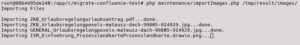 Abbildung 9: Der Datenimport der Mediendateien auf dem Wiki-Server ist gelungen. Jede Zeile steht f&uuml;r eine Mediendatei, die er erfolgreich importiert hat.