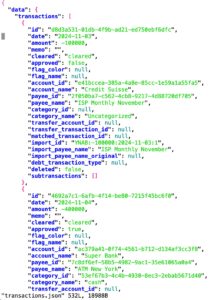 Abbildung 7: JSON-Antwort auf eine API-Anfrage nach Buchungen.