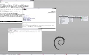 Abbildung 1: Das Live-System Grml nutzt den schlanken Window-Manager Fluxbox.