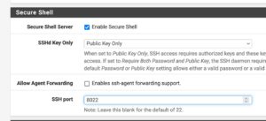 Abbildung 4: Mit wenigen Settings aktivieren Sie auf PfSense SSH f&uuml;r Shell-Kommandos.
