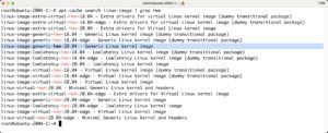Abbildung 1: Wer Ceph in die Orchestrierung übernehmen und von Version 17 auf 19 aktualisieren möchte, sollte in Ubuntu 20.04 den HWE-Kernel ausrollen – der ist nicht ganz so alt wie die originale Variante.