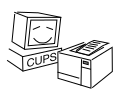Maskottchen von CUPS