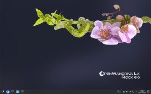 Mit OpenMandriva LX 6.0 hat die Community hinter der Distribution erstmals eine stabile OpenMandriva Server Edition erstellt.