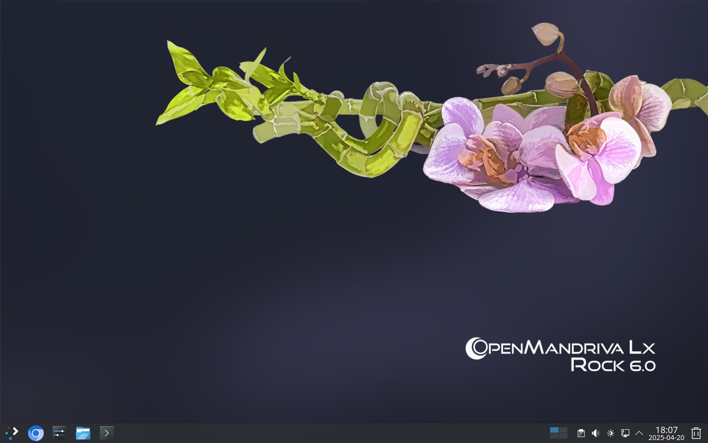 Mit OpenMandriva LX 6.0 hat die Community hinter der Distribution erstmals eine stabile OpenMandriva Server Edition erstellt.
