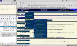 Abbildung 5: Die webbasierte Benutzeroberfläche des NST hat prinzipiell den Vorteil, dass man die Tools bequemer auf einem Server zünden kann.