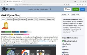 Abbildung 8: Das OWASP gibt den verwundbaren Juice Shop heraus und ermittelt die Top 10 der wichtigsten Sicherheitslücken in Webanwendungen.