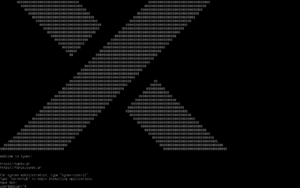 Startbildschirm Synex Server