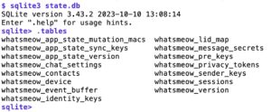 Abbildung 6: Der Whatsmeow-Client legt Registrierungsdaten in einer SQLite-Datenbank ab.