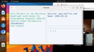 Abbildung 1: Die Video-Schlange mit Bewertungen in einer Terminal-UI.