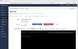 Abbildung 4: Das BAS l&auml;uft selbst als virtuelle Instanz in Corebiz. Die Installation wickelt das Corebiz-Setup ohne Zutun des Admins ab.