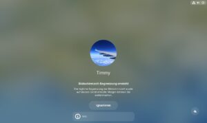 Abbildung 4: Nach Ablauf der Zeit sperrt Gnome den Zugang konsequent.